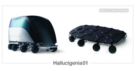 Hallcigenia01